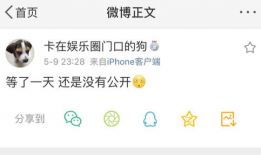 类似吃瓜爆料的群,揭秘幕后爆料者的神秘世界